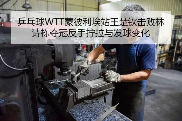 乒乓球WTT蒙彼利埃站王楚钦击败林诗栋夺冠反手拧拉与发球变化